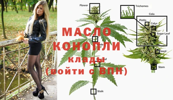 прущие крисы Арсеньев