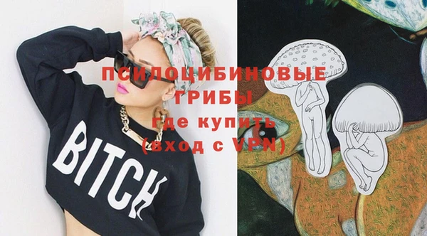 прущие крисы Арсеньев