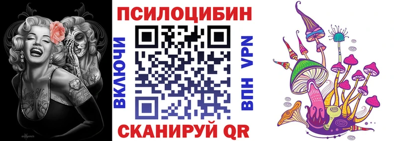 закладка Электрогорск Псилоцибиновые грибы MAGIC MUSHROOMS