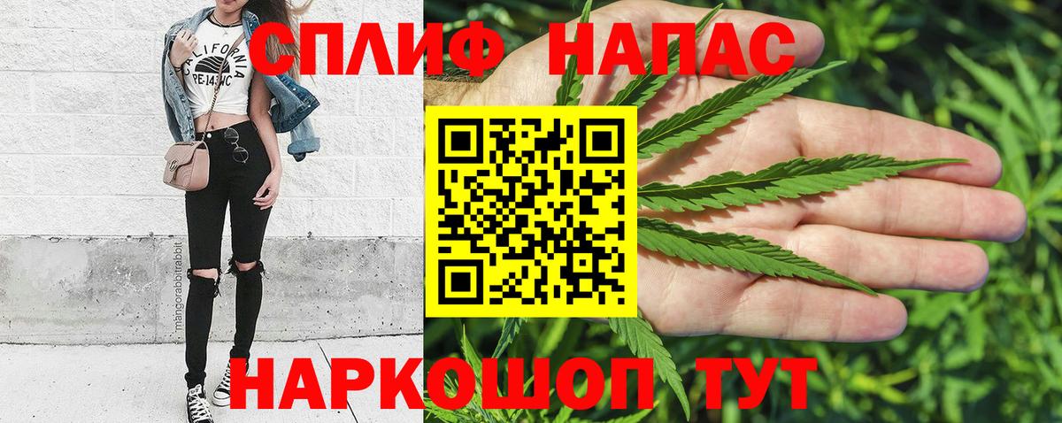Канабис планчик Электрогорск
